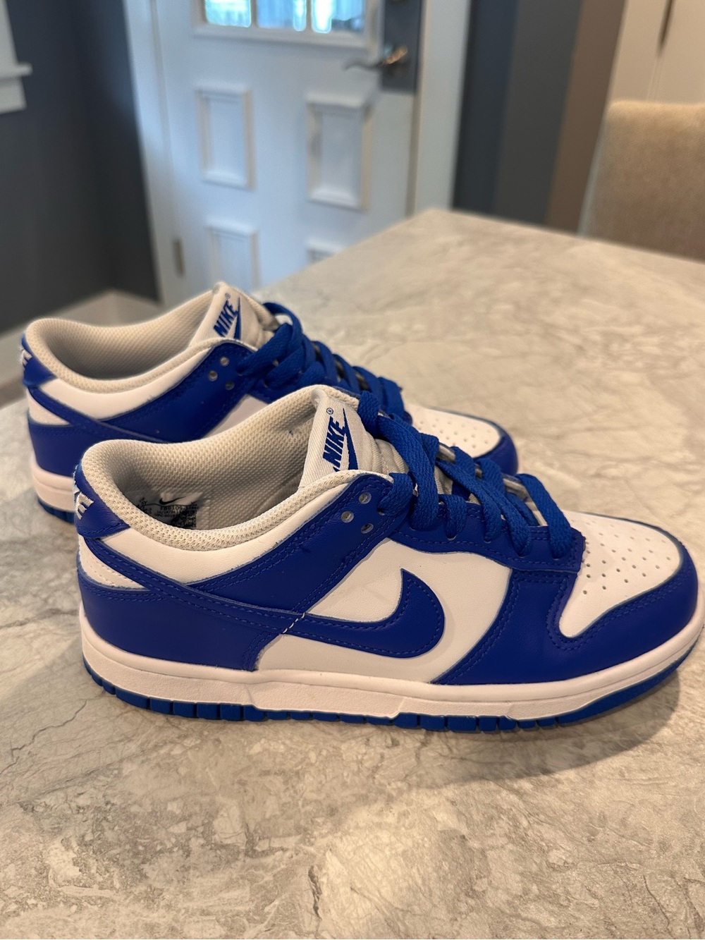 Nike Dunk low  Kids Royal Blue and White Low-Top Sneakers